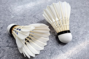 Badminton - 7. Spieltag